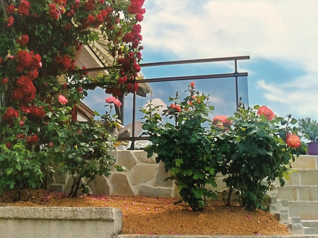 Garde Corps Aai M'Alu